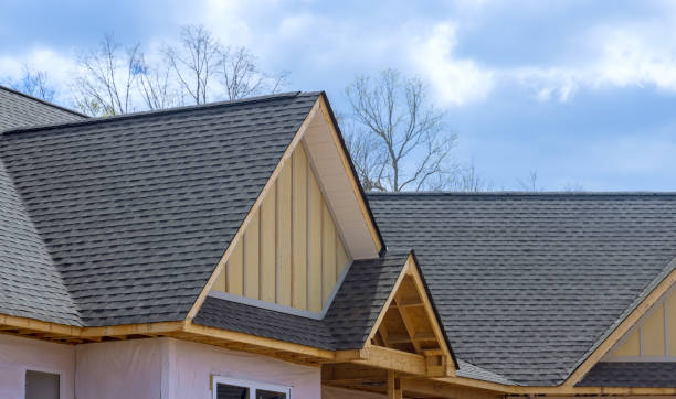 Best Steel Roofing  in Springville, IA