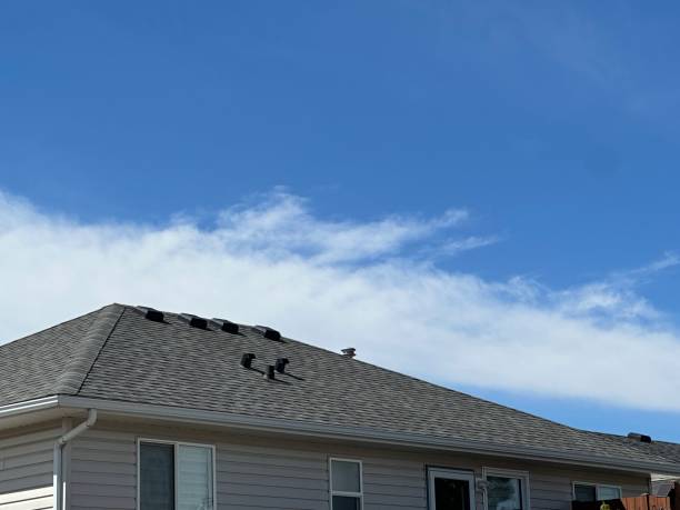 Gutter Replacement in Springville, IA